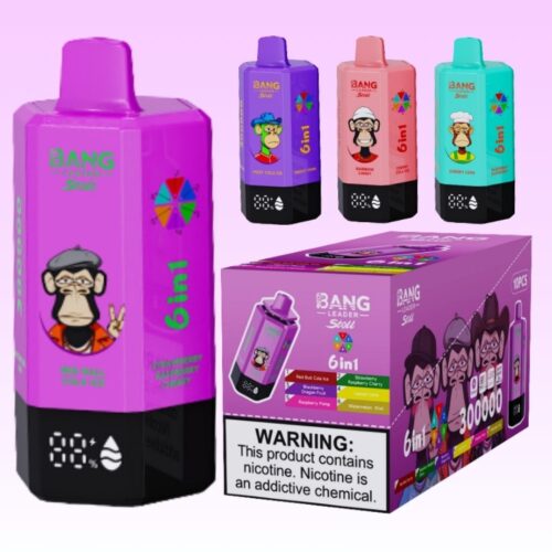 Bang Leader 300k Puffs