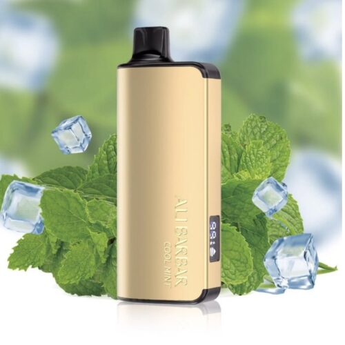 ALIBARBAR INGOT COOL MINT 9000 PUFFS - Vapes Warehouse