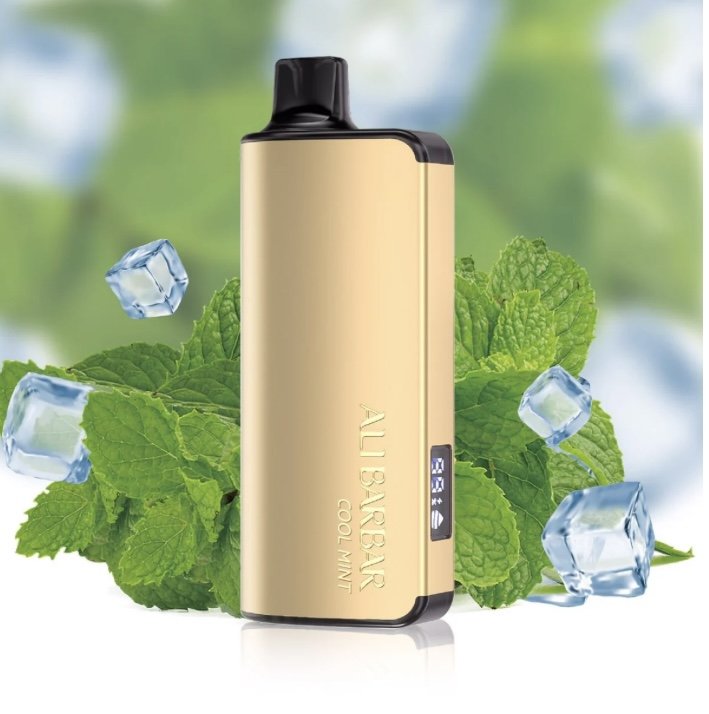 ALIBARBAR INGOT COOL MINT 9000 PUFFS - Vapes Warehouse