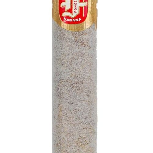 FONSECA KDT Cadetes | Dress Box of 25