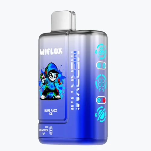 Buy merrymi WIFLUX 24000